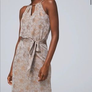 WHBM Instant Style Jersey Knit Dress, Taupe,Bronze